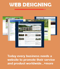 Website Designing